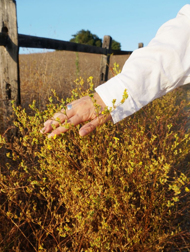 Andrea Steiner vom Mode Blog Strawberries 'n' Champagne schreibt über Nachhaltigkeit in der Mode und wo es die neusten Trends zu kaufen gibt.